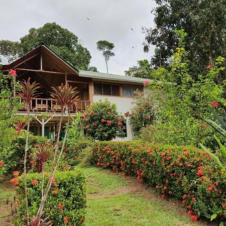 Casa Horizontes Corcovado Bed & Breakfast Drake Bay Exterior photo