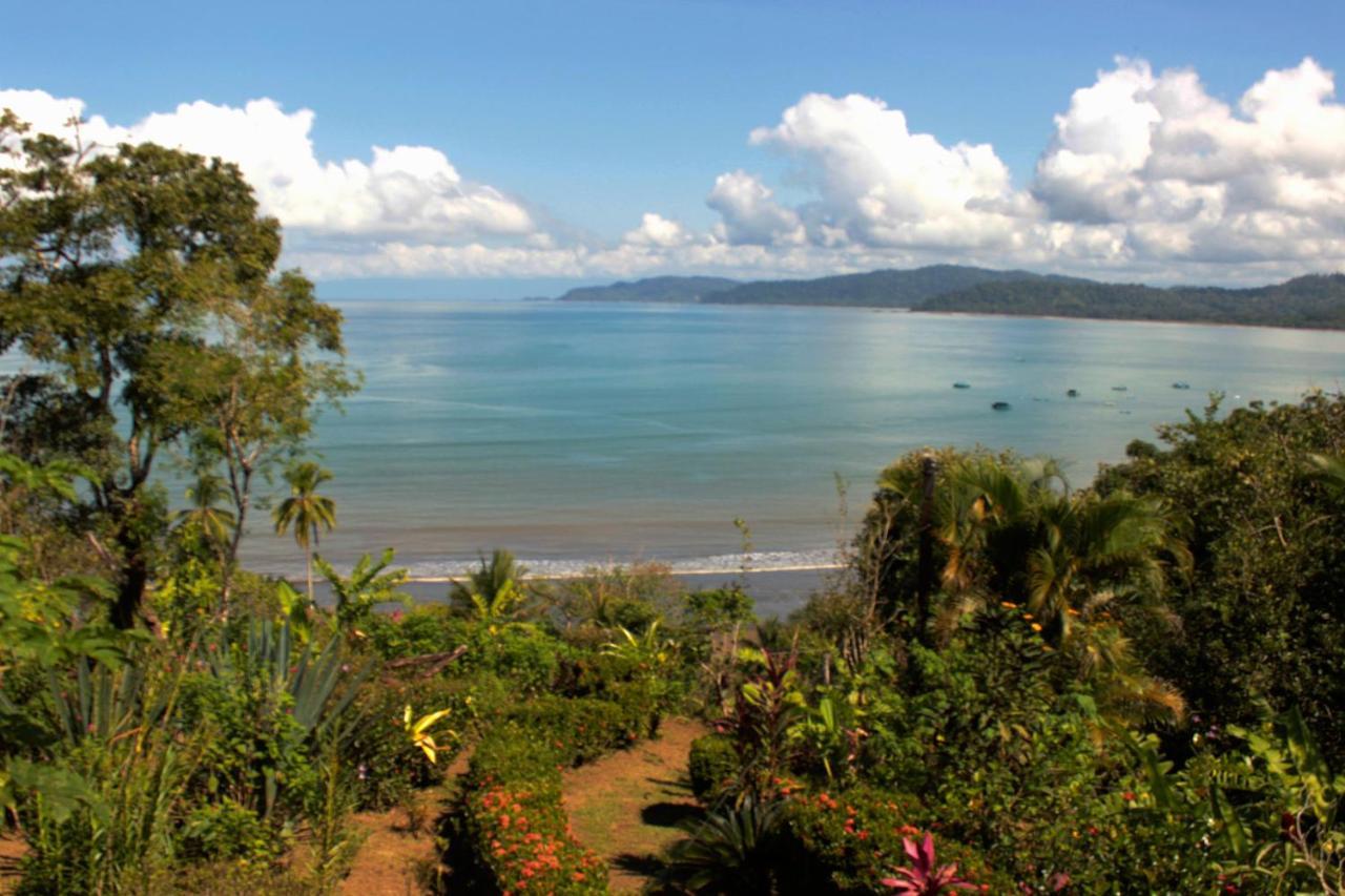 Casa Horizontes Corcovado Bed & Breakfast Drake Bay Exterior photo