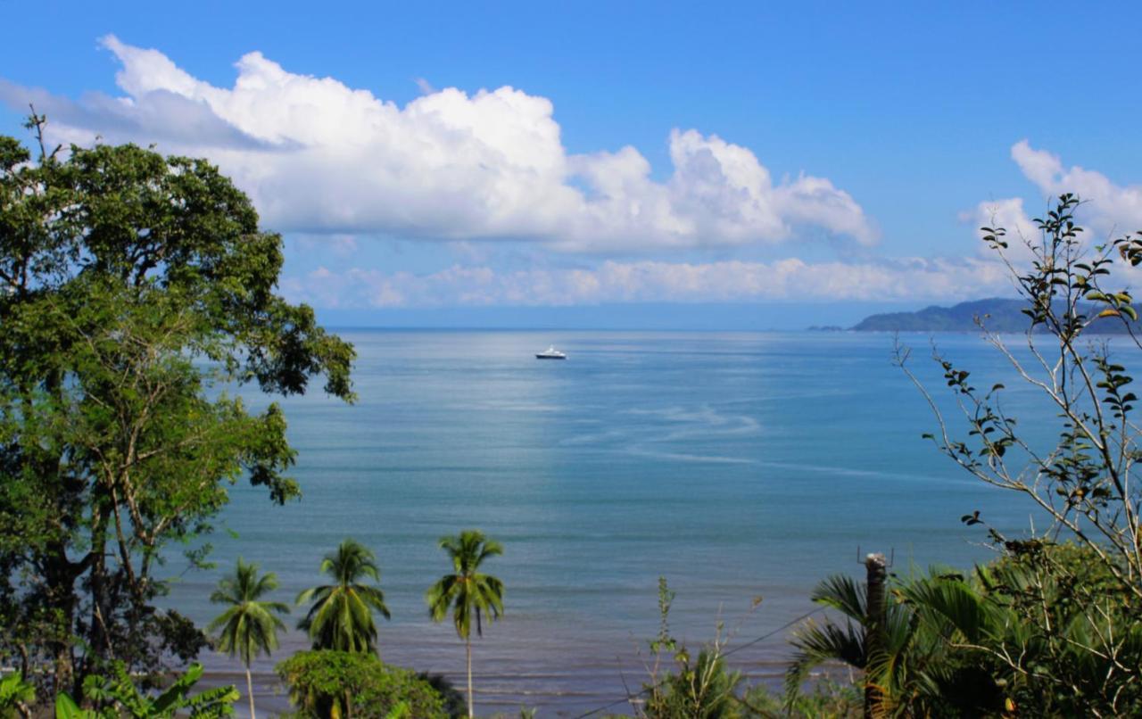 Casa Horizontes Corcovado Bed & Breakfast Drake Bay Exterior photo