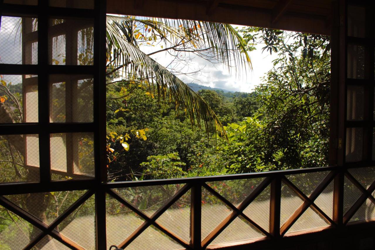 Casa Horizontes Corcovado Bed & Breakfast Drake Bay Exterior photo