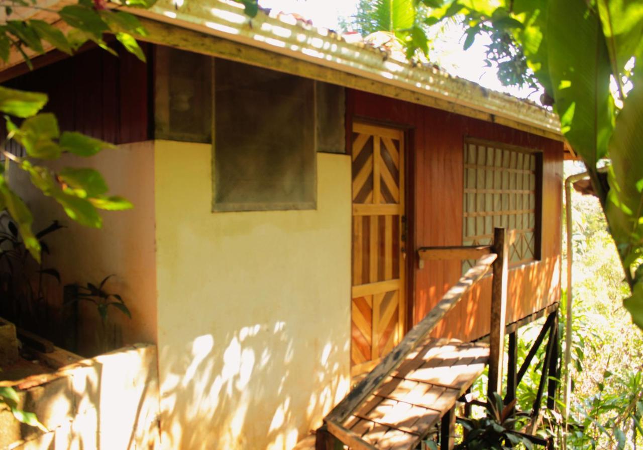 Casa Horizontes Corcovado Bed & Breakfast Drake Bay Exterior photo