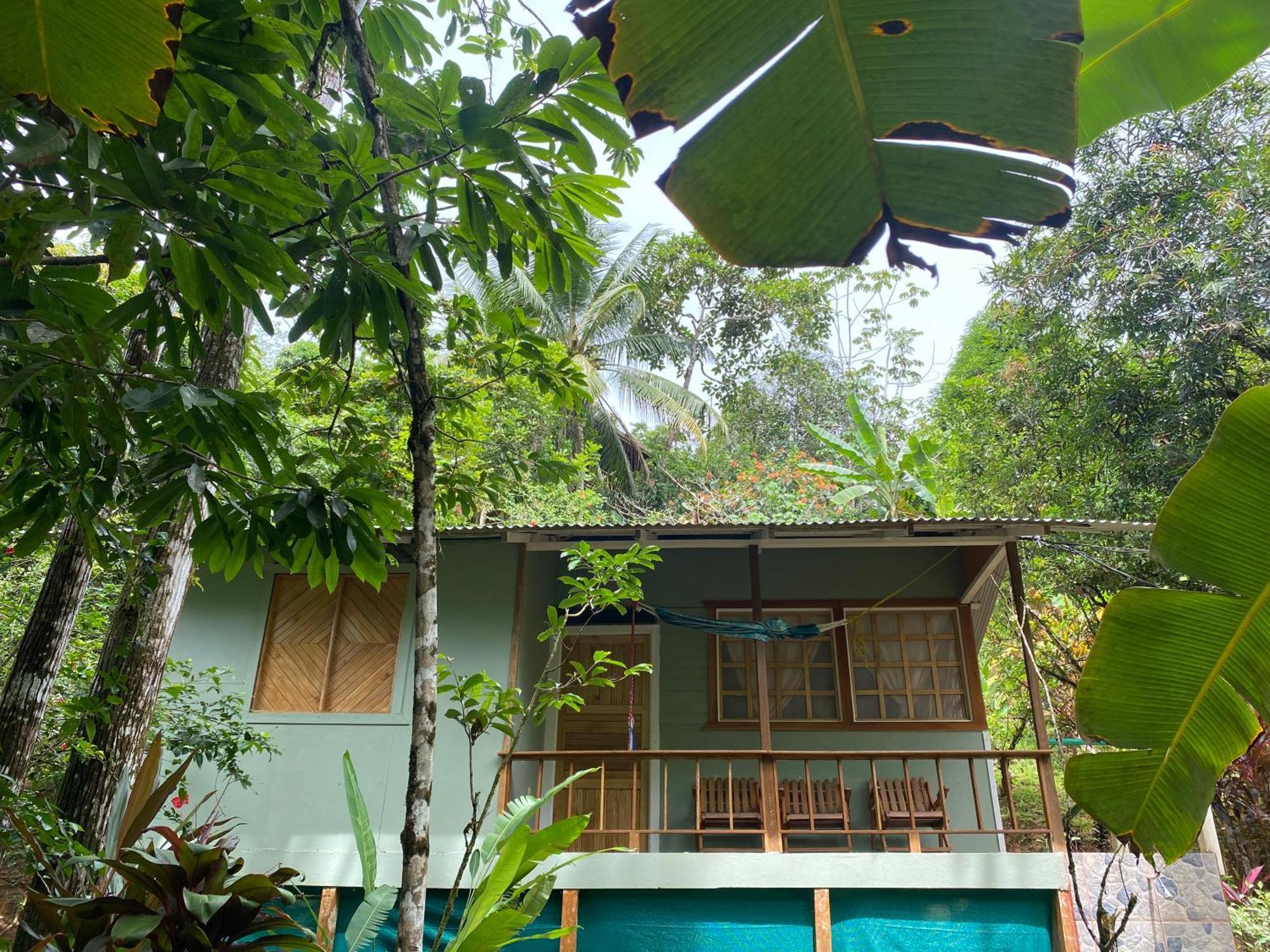 Casa Horizontes Corcovado Bed & Breakfast Drake Bay Exterior photo