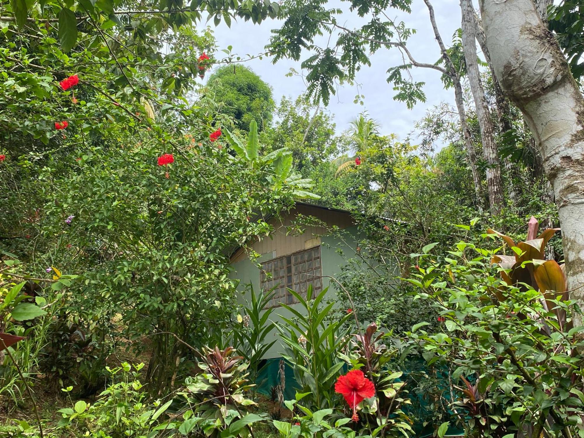 Casa Horizontes Corcovado Bed & Breakfast Drake Bay Exterior photo