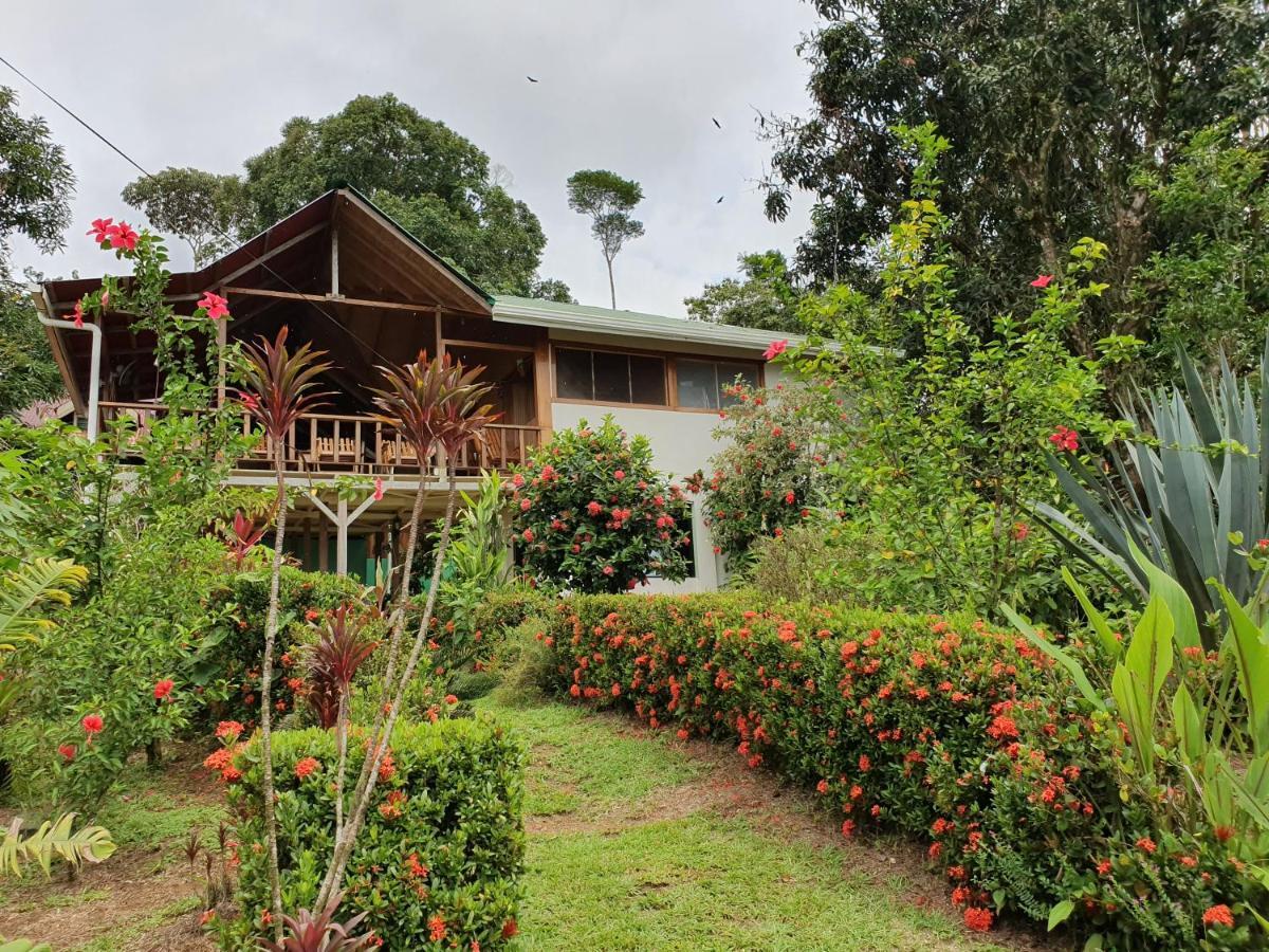Casa Horizontes Corcovado Bed & Breakfast Drake Bay Exterior photo