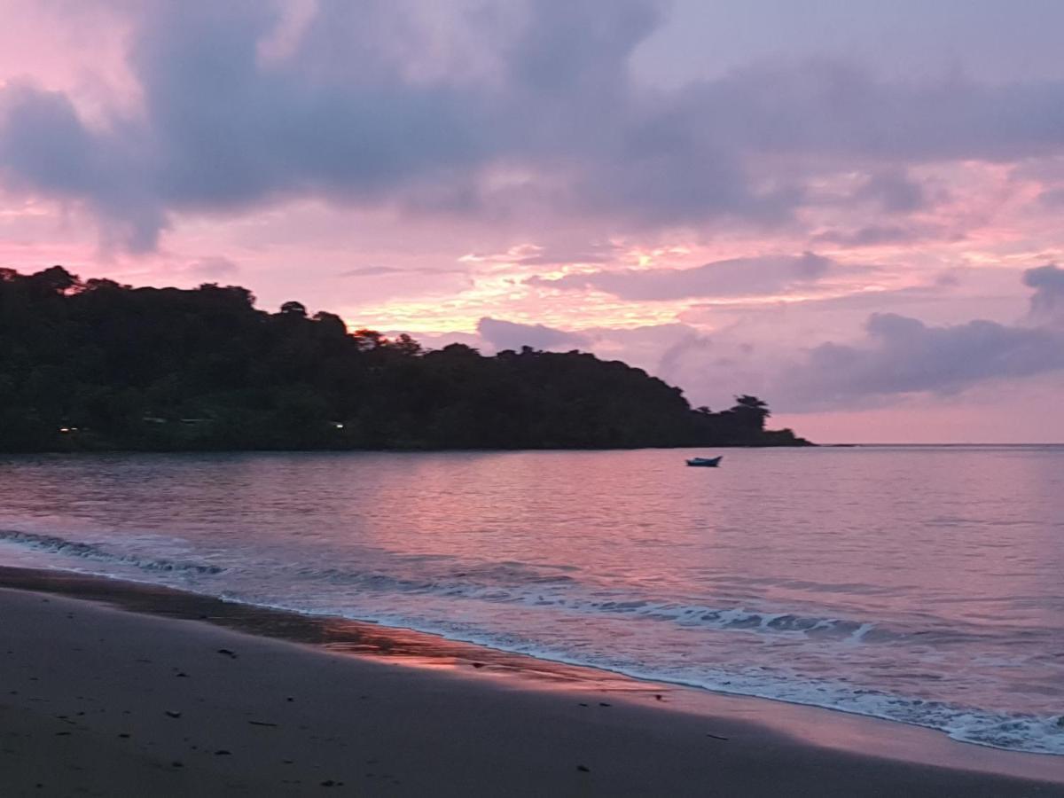Casa Horizontes Corcovado Bed & Breakfast Drake Bay Exterior photo